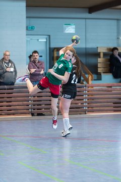 Bild 247 - F HSG Kre/Mue - HFF Munkbrarup : Ergebnis: 49:20